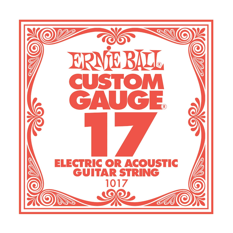 Ernie Ball Kitaran Irtokieli 017P