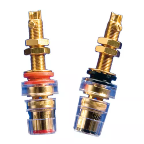 5d30170eaa584.jpg