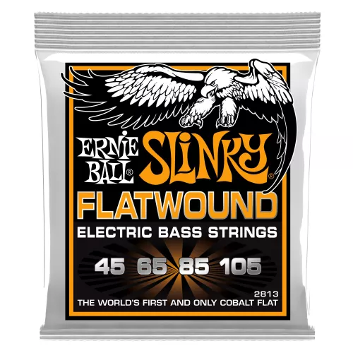 Ernie Ball EB-2813