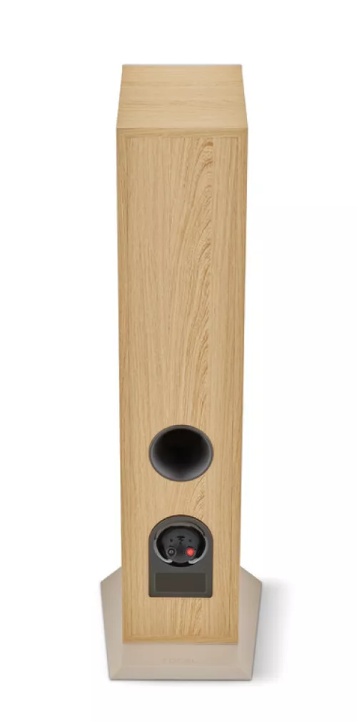 focal-theva-n2-floorstanding-loudspeaker-black-06a8db601d3edc.jpg
