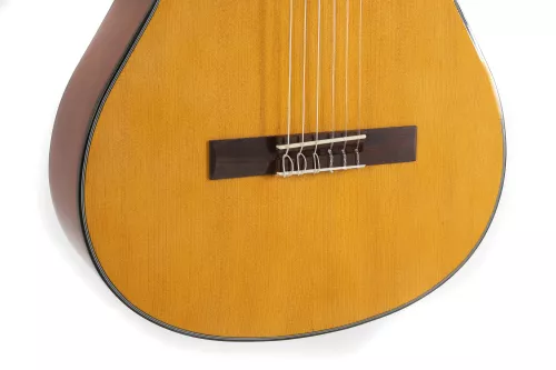 walden_n350_34w_classical_guitar_34_sized-06554b16dc3de5.jpg