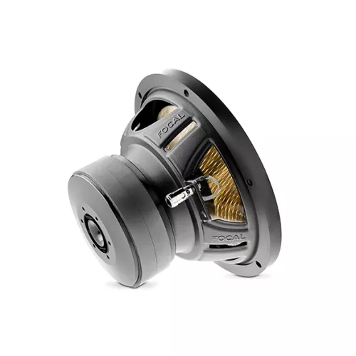 focal_flax_evo_p20_fe_8_subwoofer-06595787f3a3df.jpg