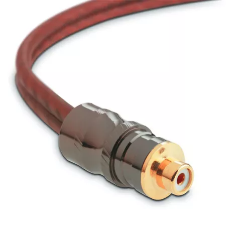focal_elite_ey_05_rca_y_cable_4m_2f-065a101f24867b.jpg