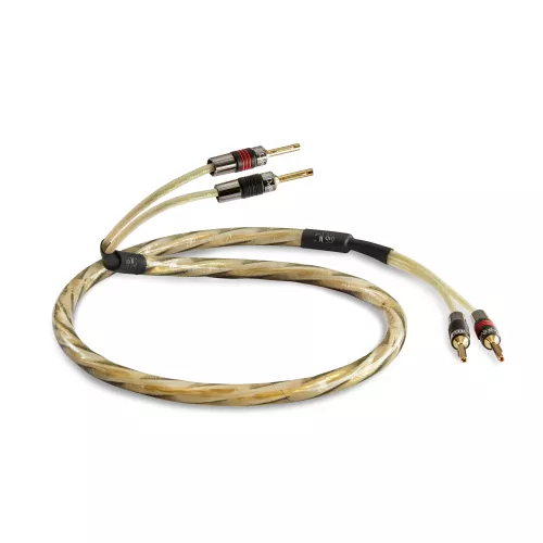 65afdbabd1e0cqed_xt40i_pre_term_speaker_cable_2m-065981399c75a1.jpg