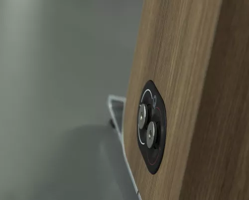 q_acoustics_q5040_floor_standing_speaker_rosewood-0662fa46b836fc.jpg
