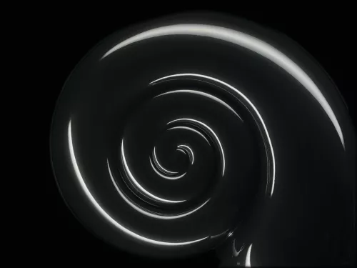 bw_nautilus_black-066a24419c104d.jpg
