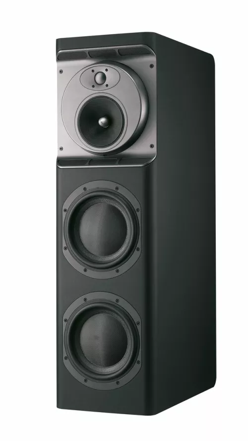 CT8 LR Black Painted
