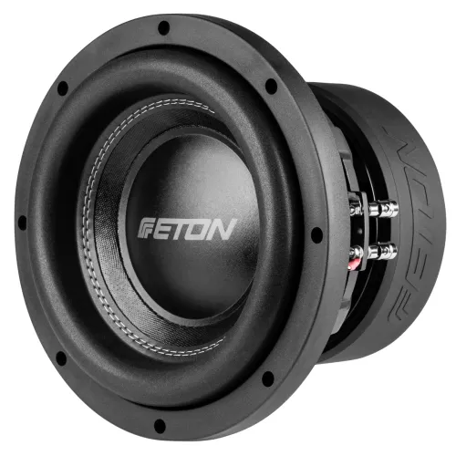 Eton MW10 10" subwoofer