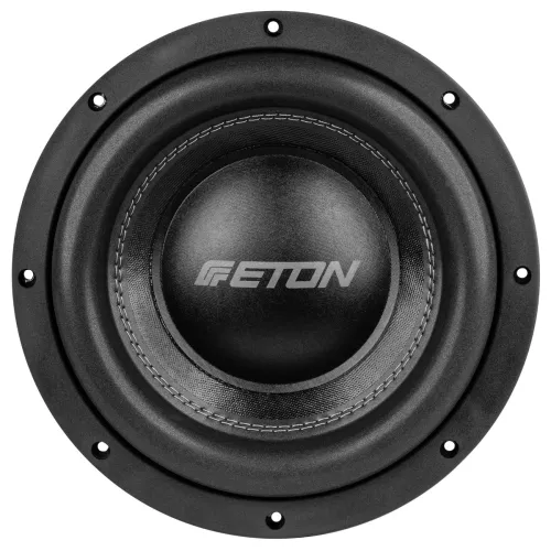 eton-mw10-10-subwoofer-066def90125f58.jpg