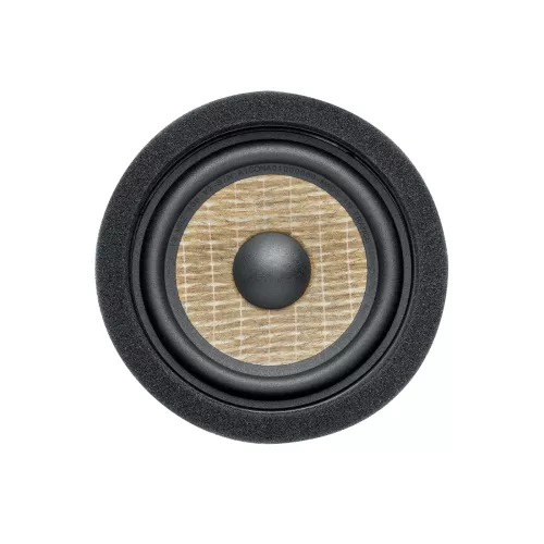 focal-inside-is-mbz-100v2-mercedes-speaker-set-067adc5a3777b4.jpg