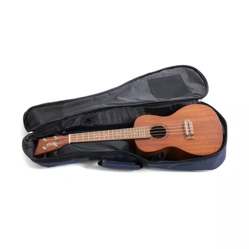 walden-n350-34w-classical-guitar-34-sized-067c9a5634bcee.jpg