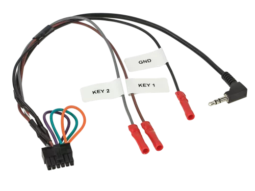 acv-multilead-0680fbdf5bef34.png
