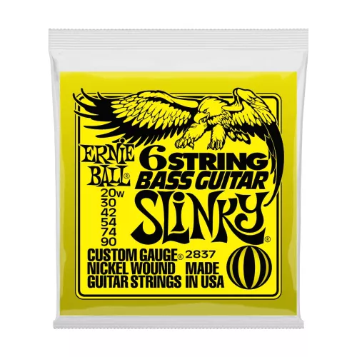 ernie-ball-eb-2813-06a9156e5f1d18.jpg