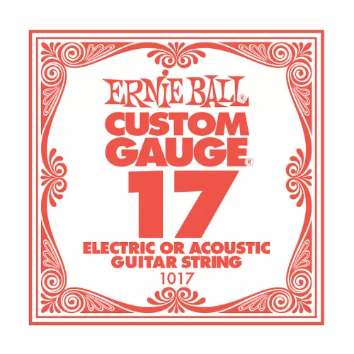 Ernie Ball Kitaran Irtokieli 017P 74425dbc0caa74d06.png