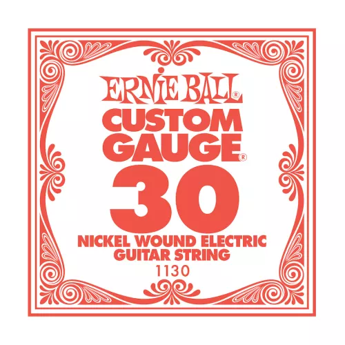 Ernie Ball Kitaran Irtokieli 030W 74495dbc14c73ed97.png